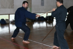 Antrenament Kenjutsu Niten Ichi Ryu_02